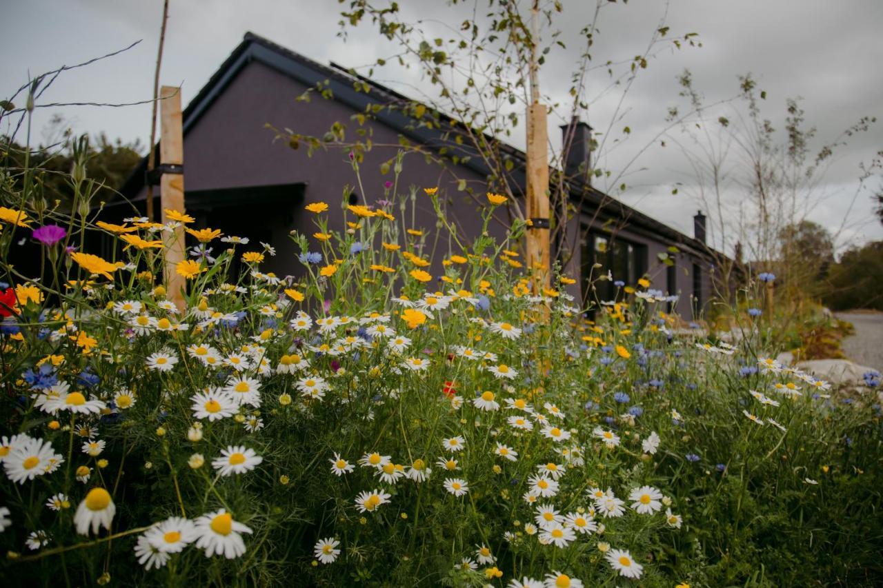 The Deerstone Luxury Eco Hideaway Villa Laragh Exteriör bild
