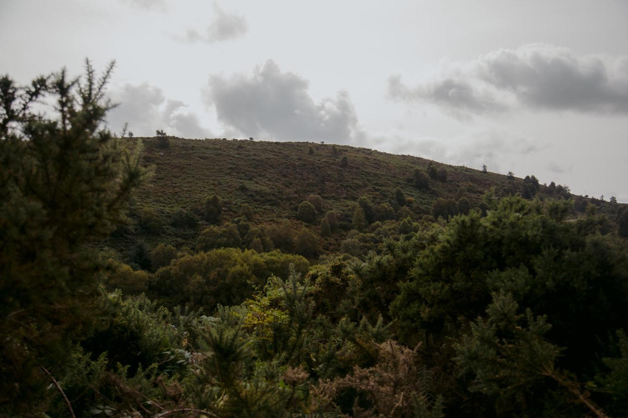 The Deerstone Luxury Eco Hideaway Villa Laragh Exteriör bild