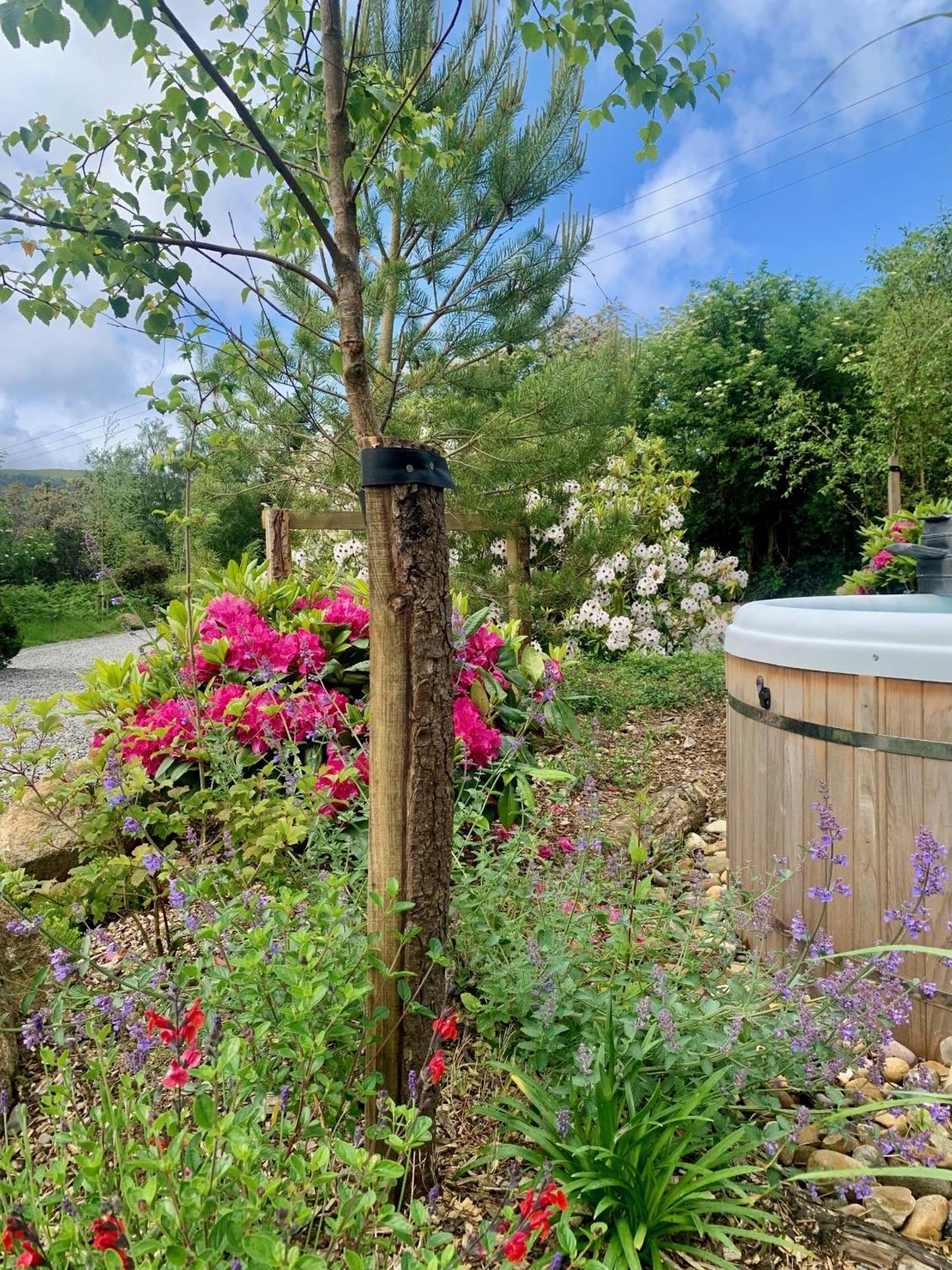 The Deerstone Luxury Eco Hideaway Villa Laragh Exteriör bild
