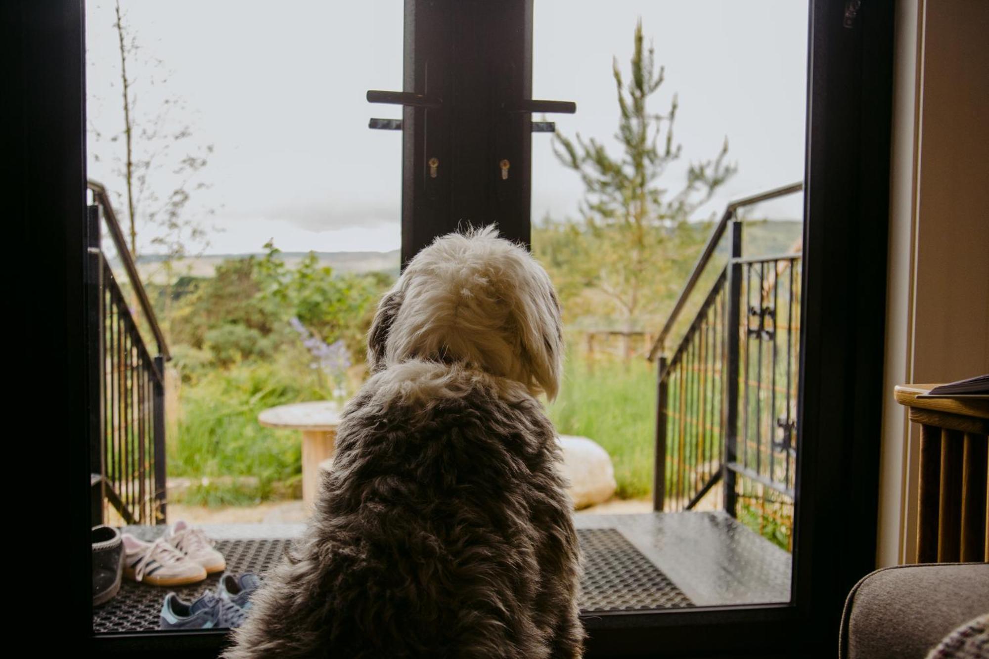 The Deerstone Luxury Eco Hideaway Villa Laragh Exteriör bild