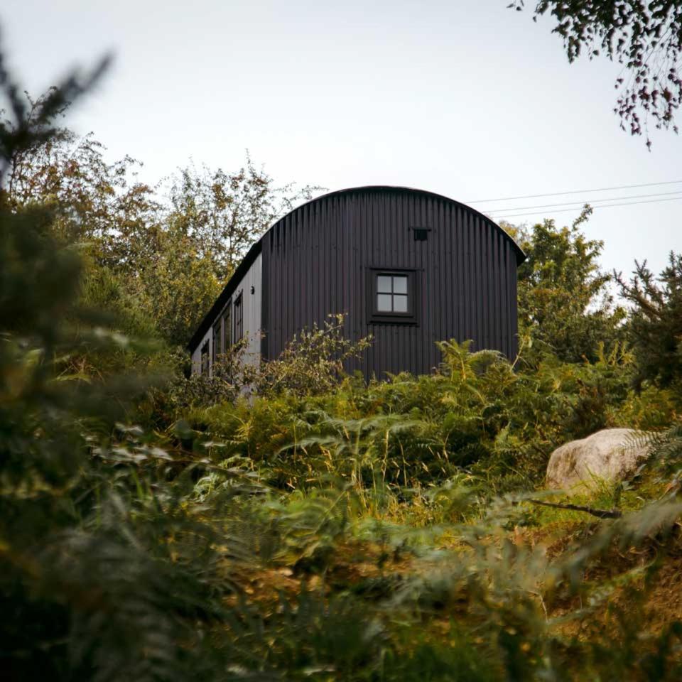 The Deerstone Luxury Eco Hideaway Villa Laragh Exteriör bild